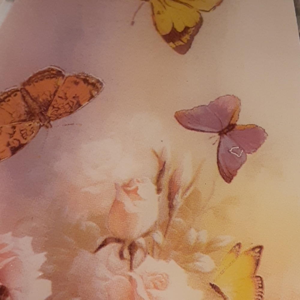 Meet your Posher, Lyn